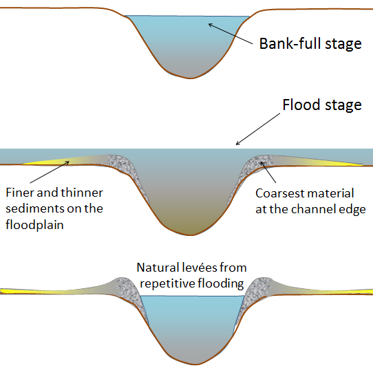 Profile of a stream channel at three stages: the Bank-full stage shows the water filling the channel without overflowing, the Flood stage shows the river overfilling the channel and spreading outward with sediments deposited on the top of the river banks, and deposition of natural levee shows the river within the channel due to natural levels forming that raised the stream banks higher.